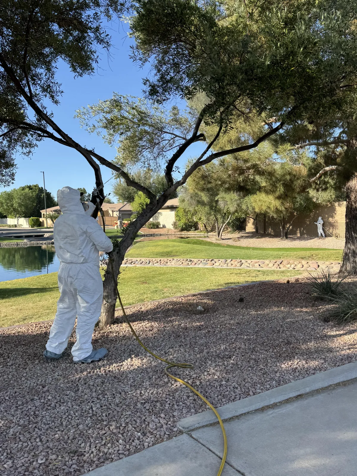 Technician applying treatment to trees on a landscaped Arizona property